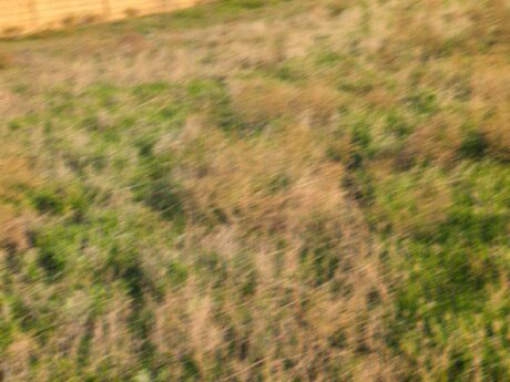 Torpaq - Maştağa q. - 28.7 sot