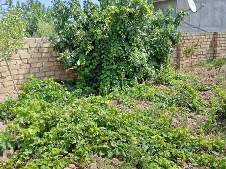 3 otaqlı həyət evi, 100 m², Görədil: 143 000 ₼ 4