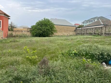 Объявление №5429550 - Баку, пос. Чичек, 8 сот