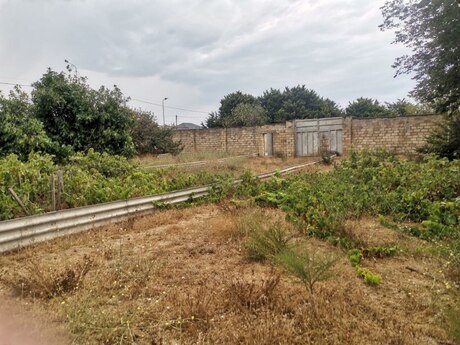 Elan №5436136 - Bakı, Nardaran q., 50 sot