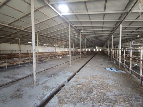 Объявление №5439813 - Баку, пос. Новханы, 40000 м²