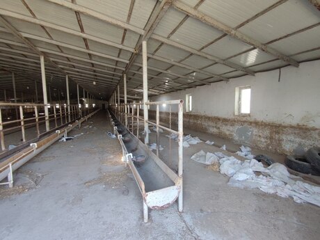 Obyekt - Novxanı q. - 40000 m²