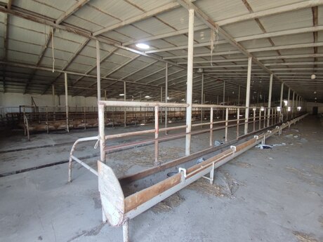 Obyekt - Novxanı q. - 40000 m²