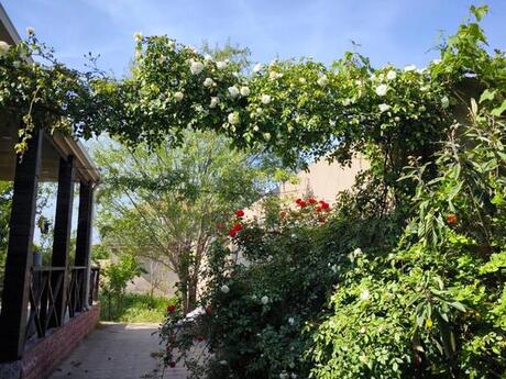 4 otaqlı həyət evi/bağ evi - Fatmayı q. - 130 m²