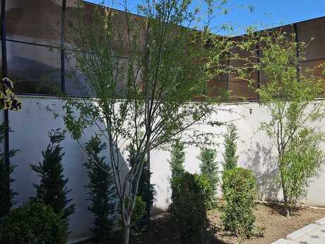 7 otaqlı həyət evi/bağ evi - Əhmədli m. - 250 m²