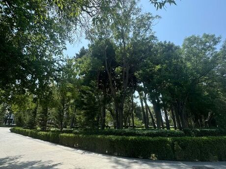 3-room apartment, 90 m², 28 May: 280 000 ₼ 3
