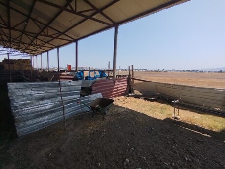 Obyekt - Göygöl - 1500 m²