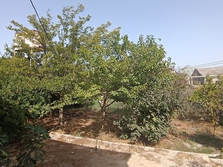 3 otaqlı həyət evi/bağ evi - Xəzər r. - 80 m²