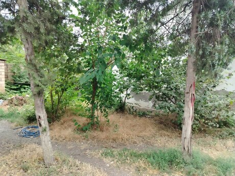 Obyekt - Xaçmaz - 1729 m²