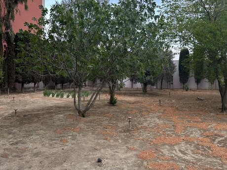 4 otaqlı həyət evi/bağ evi - Xəzər r. - 200 m²
