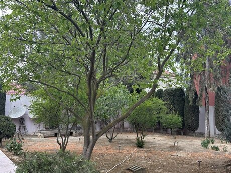4 otaqlı həyət evi/bağ evi - Xəzər r. - 200 m²