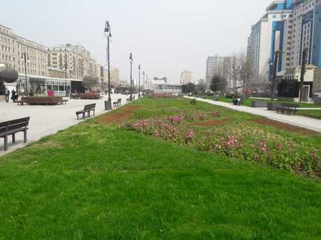 3-room apartment, 189 m², Nizami: 645 000 ₼ 4