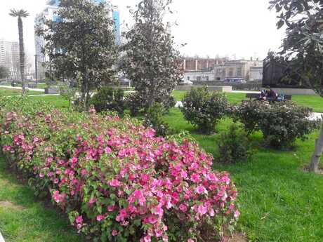 3-room apartment, 189 m², Nizami: 645 000 ₼ 3