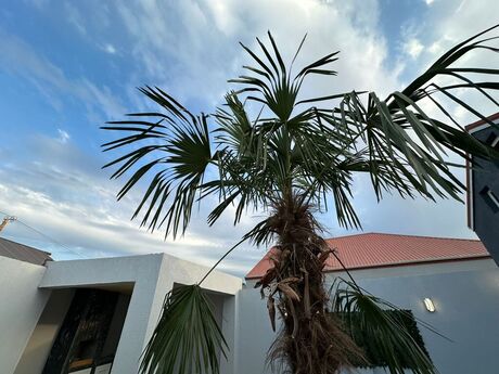 4 otaqlı həyət evi/bağ evi - Mərdəkan q. - 110 m²