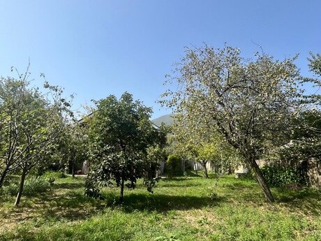 5 otaqlı həyət evi/bağ evi - Qax - 150 m²