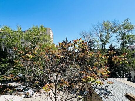 2 otaqlı köhnə tikili - Memar Əcəmi m. - 58 m²