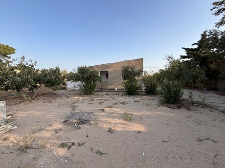 Torpaq - Qala q. - 12 sot