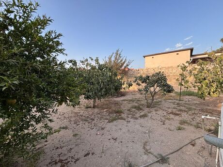 Torpaq - Qala q. - 12 sot