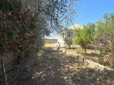 3 otaqlı həyət evi/bağ evi - Binə q. - 100 m²