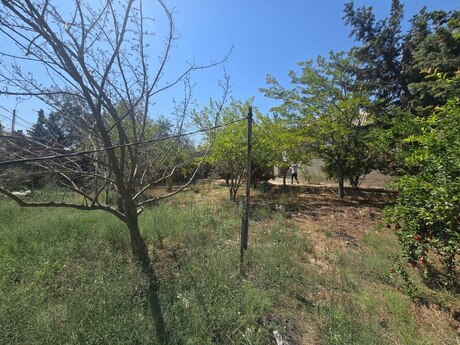 3 otaqlı həyət evi/bağ evi - Binə q. - 100 m²