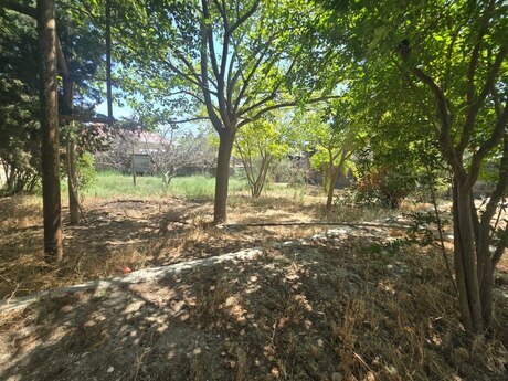 3 otaqlı həyət evi/bağ evi - Binə q. - 100 m²