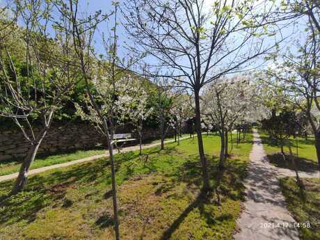 Объявление №5491905 - Баку, м. Насими, 20 сот