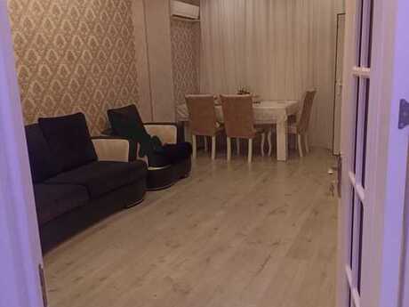 Zığ q.