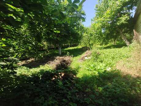 5 otaqlı həyət evi/bağ evi - Şamaxı - 120 m²