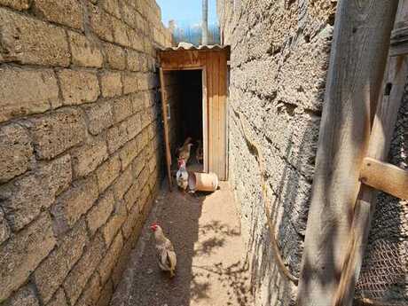 3 otaqlı həyət evi, 90 m², Maştağa: 66 000 ₼ 4