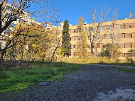 Obyekt - Azadlıq Prospekti m. - 300 m²