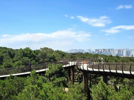 4 otaqlı yeni tikili - Badamdar q. - 139 m²