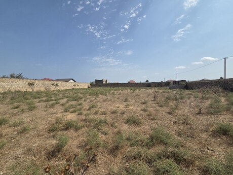 Torpaq - Qala q. - 24 sot