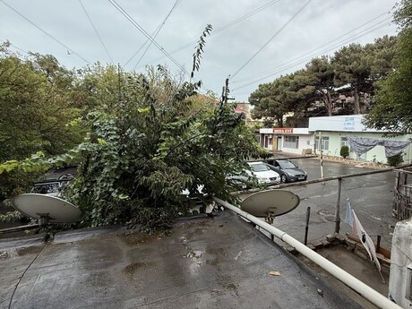 2 otaqlı köhnə tikili - Badamdar q. - 71 m²
