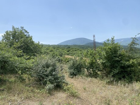 Torpaq - Şabran - 100 sot
