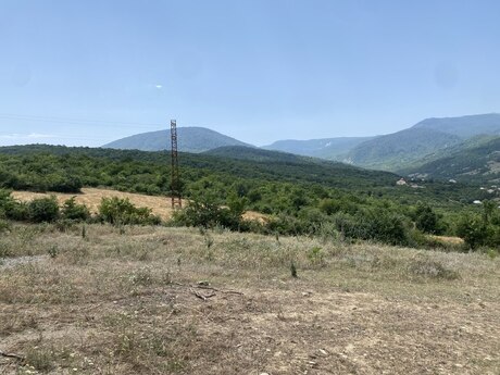 Torpaq - Şabran - 100 sot