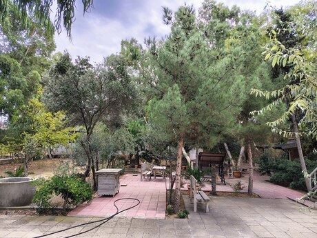 Elan №5521838 - Bakı, Nardaran q., 11 otaqlı, 170 m²