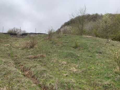 Elan №5525873 - Şamaxı, Şamaxı, 12 sot