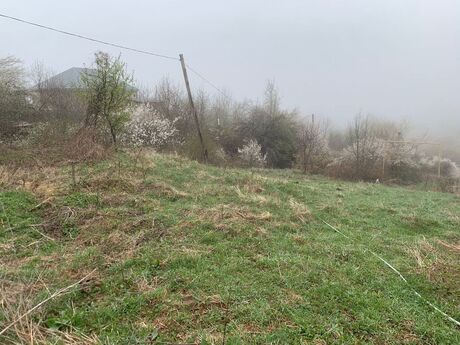 Torpaq - Şamaxı - 12 sot