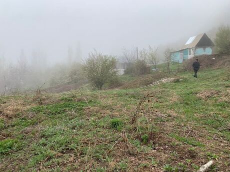 Torpaq - Şamaxı - 12 sot