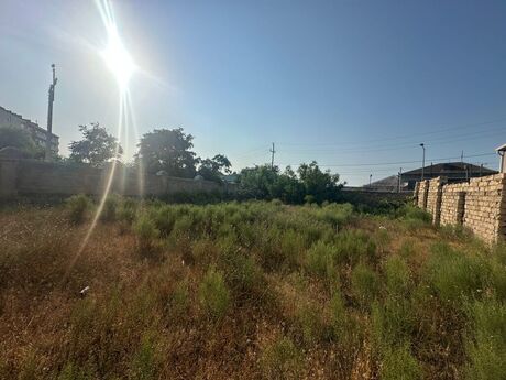 Объявление №5527027 - Баку, пос. Бильгях, 11 сот