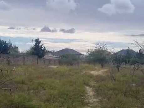 Объявление №5529000 - Баку, пос. Сарай, 25 сот