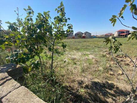 Объявление №5531095 - Баку, пос. Савалан, 48 сот