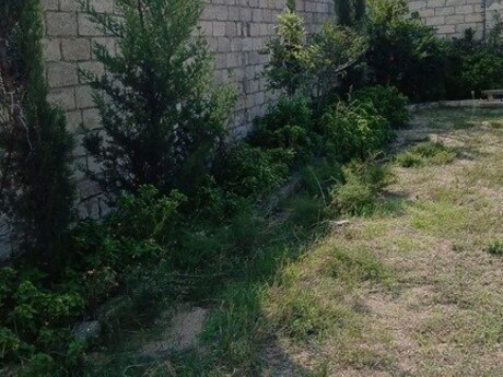 5-комн. дом/дача - пос. Тюркан - 200 м²