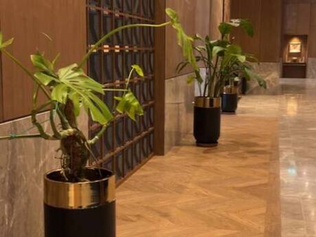 2 otaqlı mənzil, 90 m², Nəsimi: 1 310 000 ₼ 4