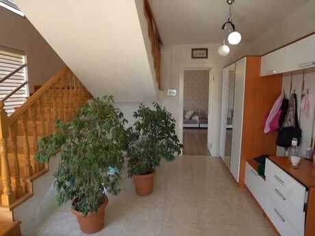 6 otaqlı həyət evi/bağ evi - Badamdar q. - 370 m²