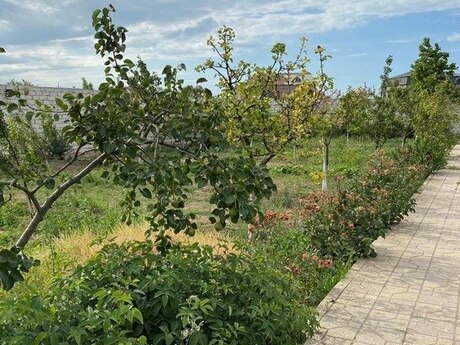 3 otaqlı həyət evi/bağ evi - Bilgəh q. - 140 m²