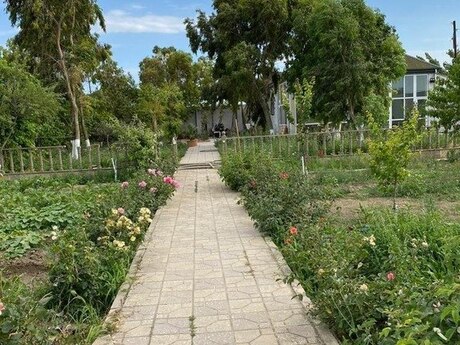 3 otaqlı həyət evi, 140 m², Bilgəh: 335 000 ₼ 5