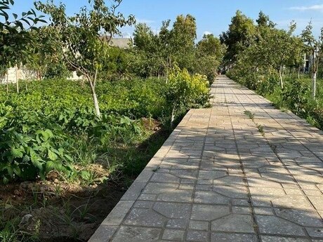 3 otaqlı həyət evi/bağ evi - Bilgəh q. - 140 m²