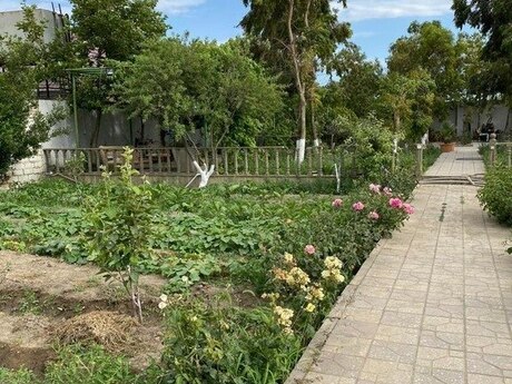 3 otaqlı həyət evi/bağ evi - Bilgəh q. - 140 m²