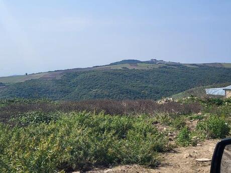 Torpaq - Şamaxı - 12 sot